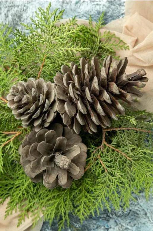 Casa rural para 12 personas, con vistas y jardín, Se admiten mascotas en Provincia de Cuenca