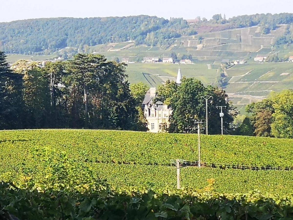 Le Temps d'une Pause à Boursault in Boursault (Marne), Marne