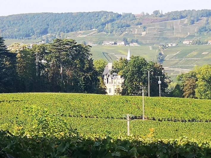 Location de vacances pour 4 personnes, avec jardin et vue à Boursault (Marne) - 2