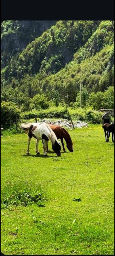 Maison d’hôte pour 2 personnes, avec jardin dans Theth