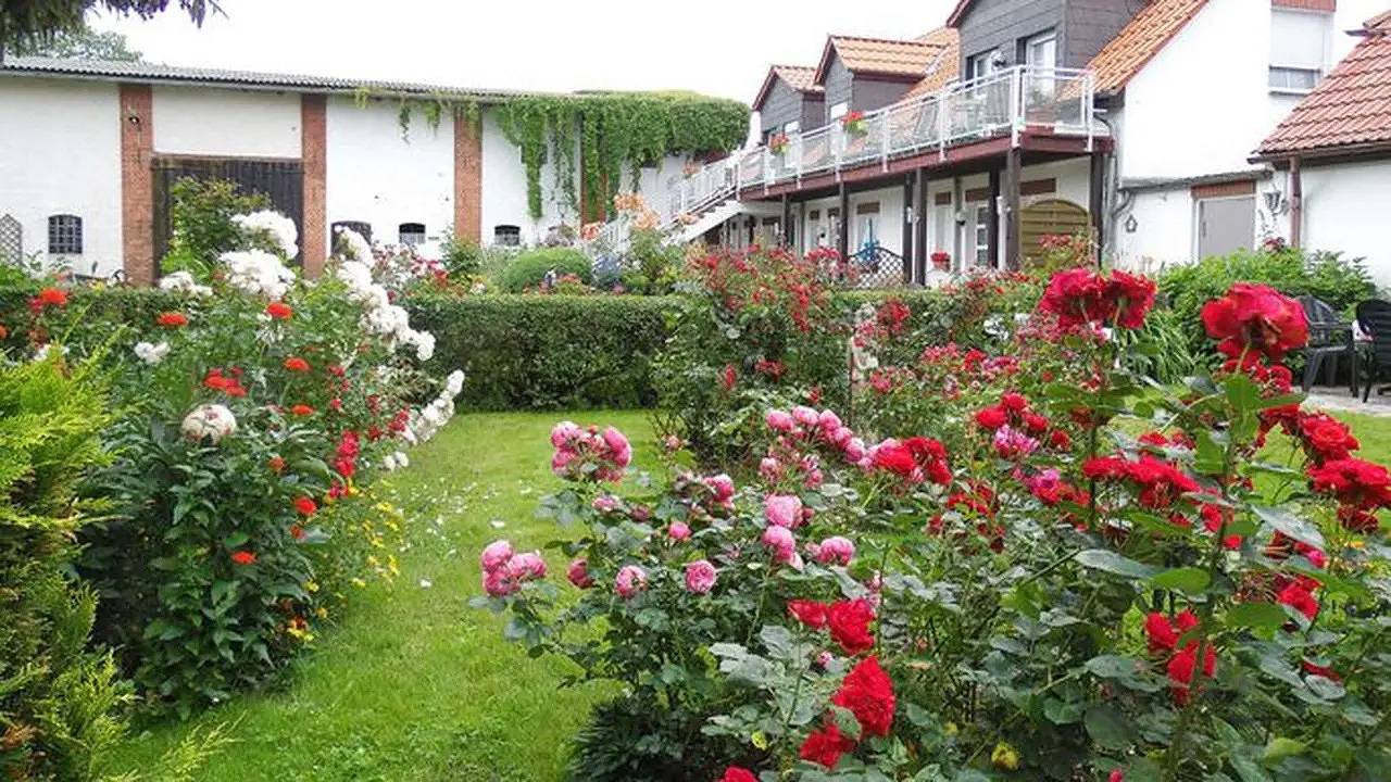 Ganze Ferienwohnung, Ferienwohnung für 2 Personen (30 m²) in Usedom in Usedom Stadt, Usedom
