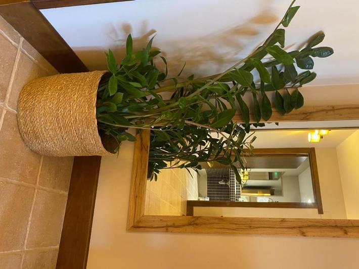 Casa rural para 3 personas, con Terraza además de Jardín y Vistas en Donostialdea - 3