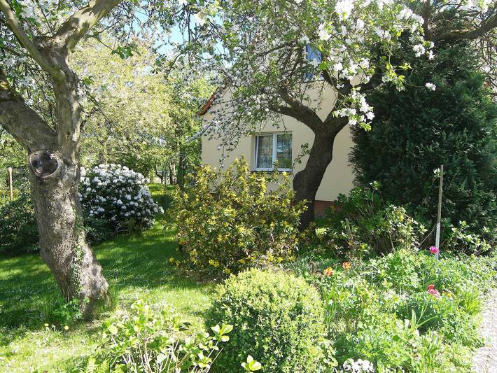 Ferienhaus für 4 Personen, mit Terrasse und Garten in Mellenthin - 3