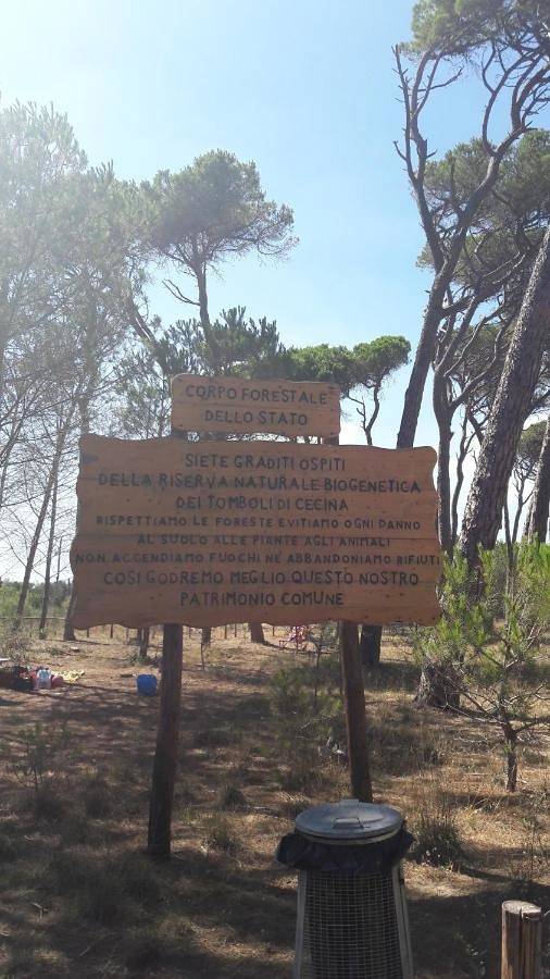 Ferienhaus für 8 Personen, mit Garten und Ausblick in Vada - 4