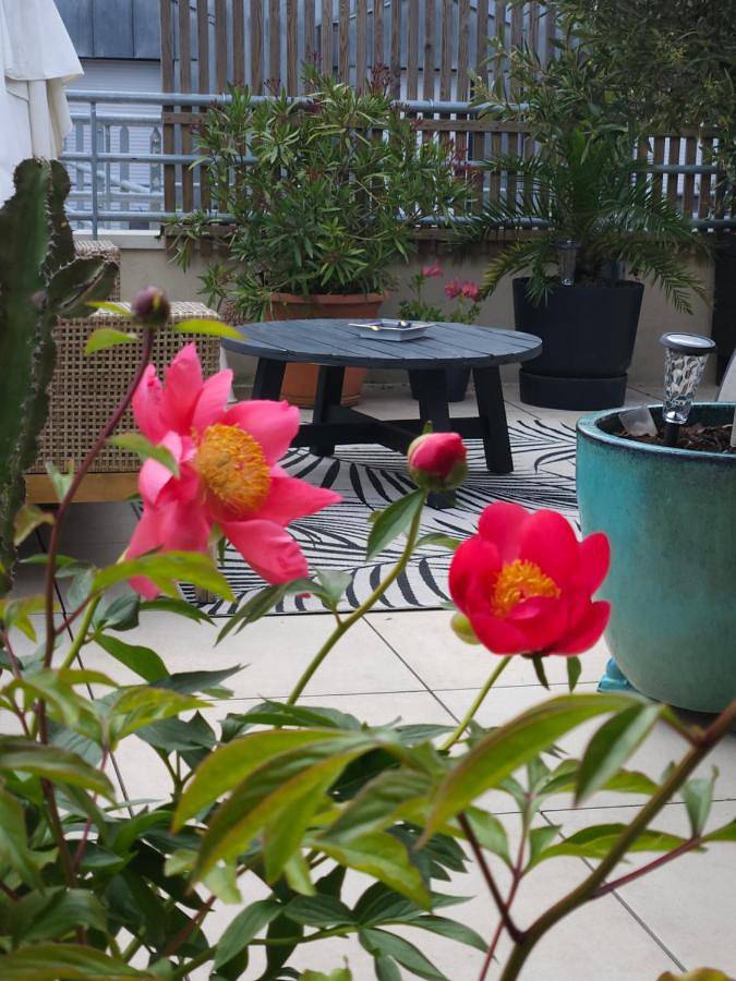 Gîte pour 2 personnes, avec vue et terrasse à Romainville - 3