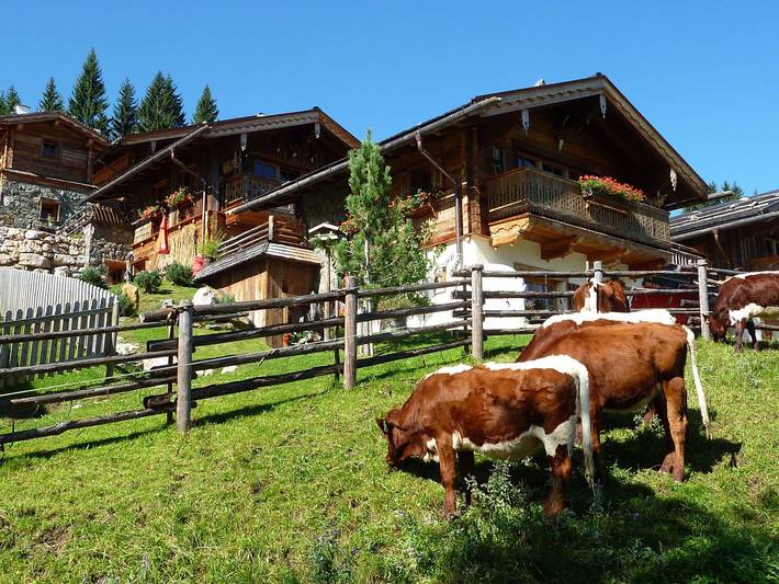 Ferienhaus für 6 Personen, mit Garten und Sauna sowie Balkon in Flachau - 3