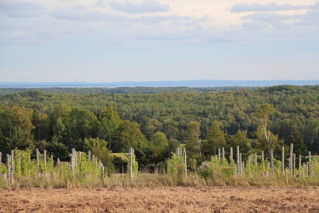 Großes, jahrhundertealtes Haus mit Bio-Weinberg. Sehr privat mit grandioser Aussicht. in Kings County (Kanada)