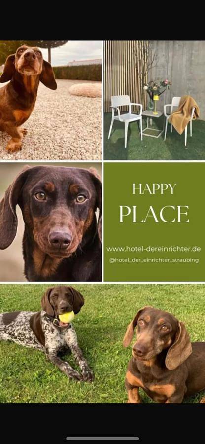 Hotel Der Einrichter in Straubing, Ostbayern