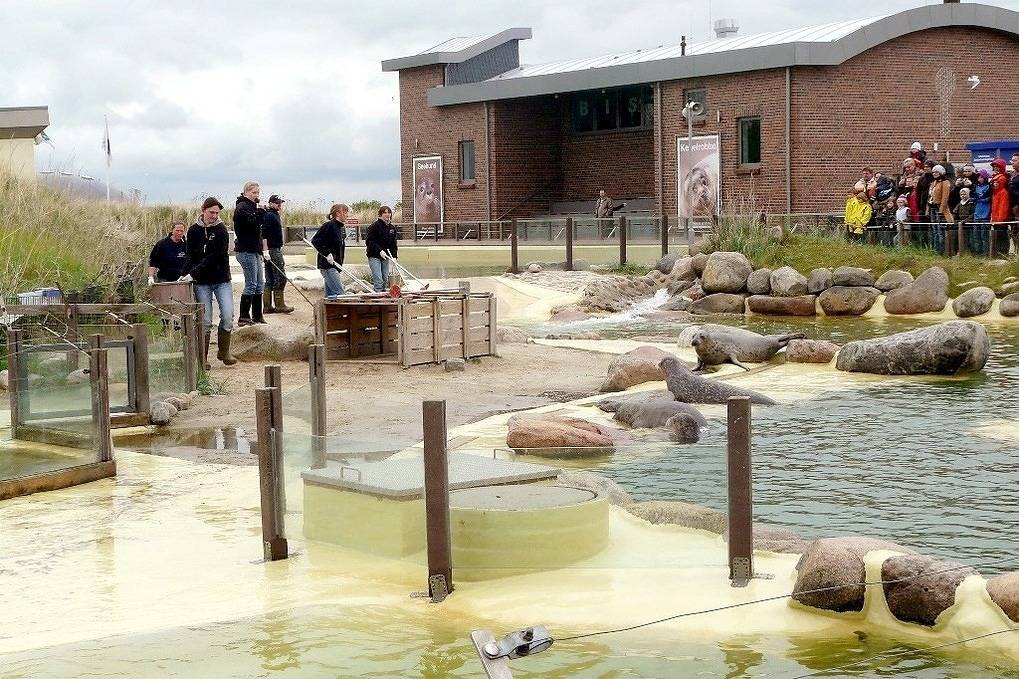 Ferienhaus Krabbe, 8 Personen, 3-4 Schlafzimmer in Friedrichskoog-Spitze, Friedrichskoog