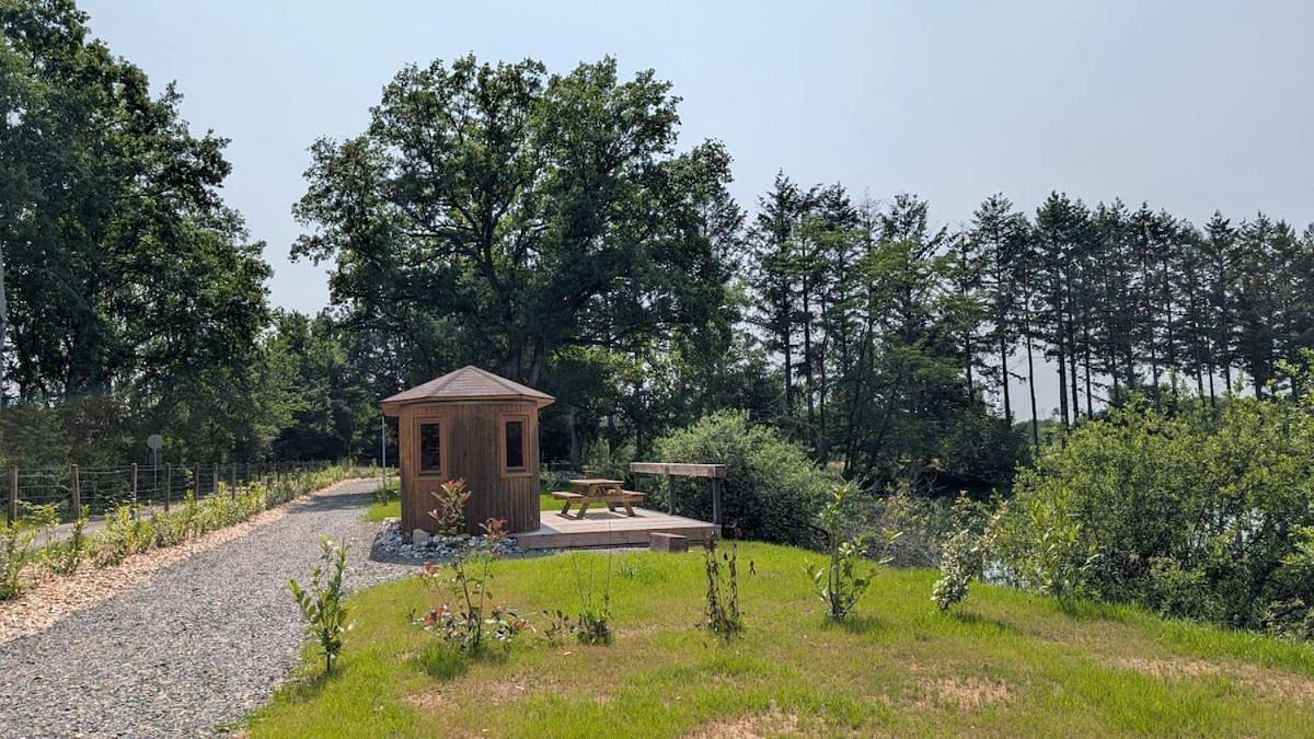 Le Gland - Cabane isolée au bord de l'eau & pêche in Roye, Haute-Saône