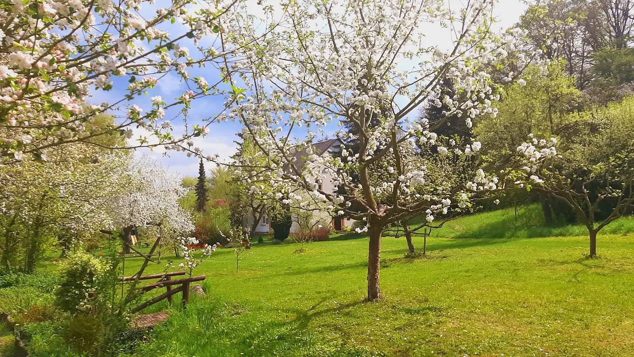 Doppelzimmer für 2 Personen (12 m²) in Bad Freienwalde in Bad Freienwalde, Märkische Schweiz-Oderland