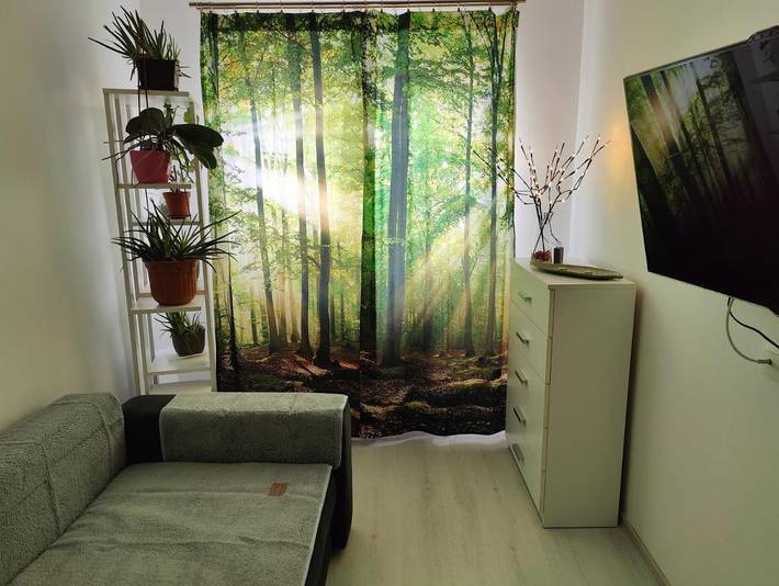 Gîte pour 2 personnes, avec balcon dans Mureș - 2