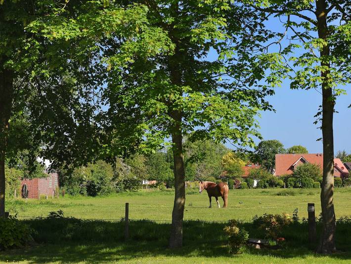 Ferienhaus für 5 Personen, mit Garten und Terrasse sowie Seeblick, kinderfreundlich in Ostfriesland - 3