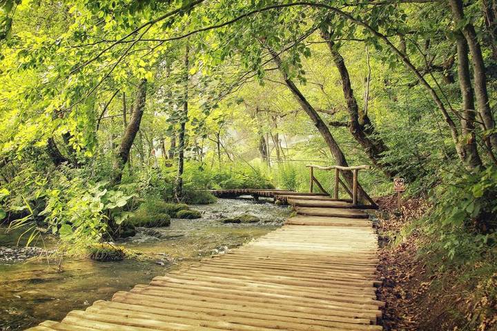 Gîte pour 4 personnes, avec vue et terrasse dans Plitvička Jezera - 4