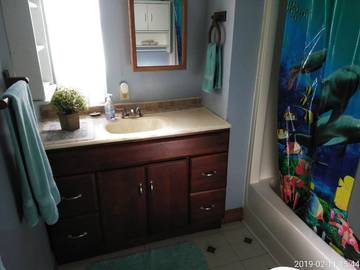 Camping for 11 Guests in Hernando County, Picture 3