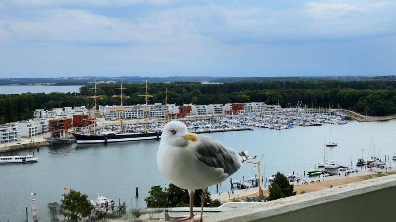 Appartement de vacances entier, Ferienwohnung für 2 Personen (31 m²) in Travemünde in Ostseebad Travemünde, Baie de Lübeck