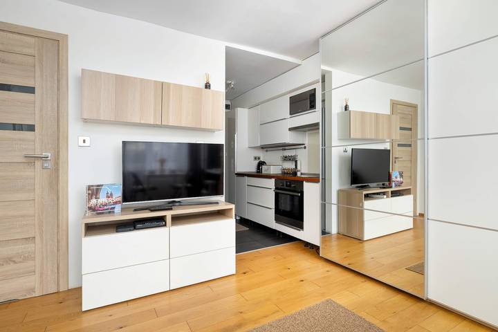 Entire holiday apartment, Bright Studio in Center | Desk | Close to the Park in Cracow, Lesser Poland
