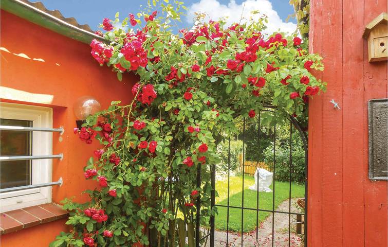 Bauernhof für 3 Personen, mit Garten, mit Haustier in Schleswig-Holstein - 4