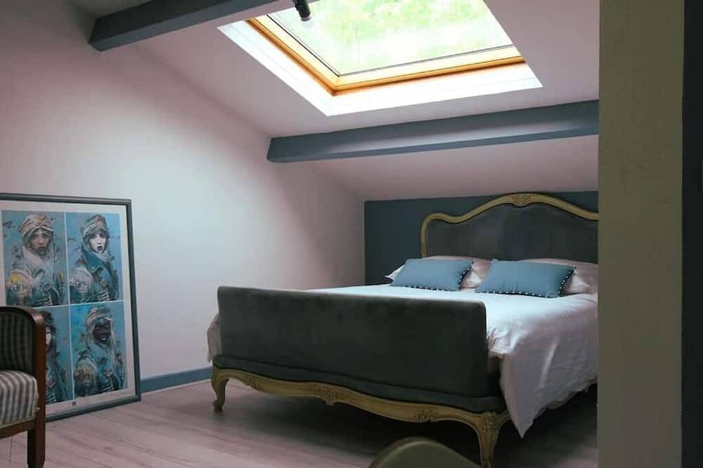 Villa du Parc - large character house close to the center in Montauban, Tarn-et-Garonne