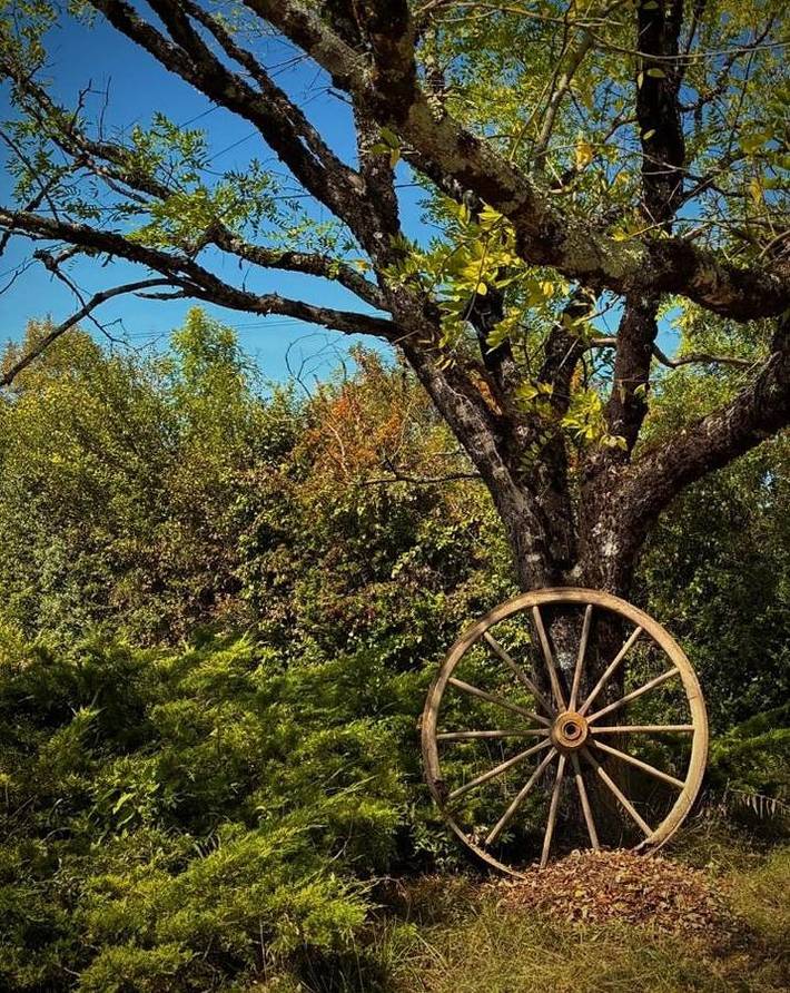 Location de vacances pour 6 personnes, avec piscine ainsi que jardin et vue à Belvèze - 2