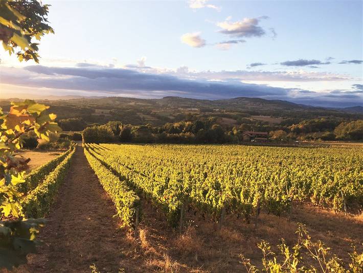 Gîte pour 2 personnes, avec jardin dans Rhône - 3