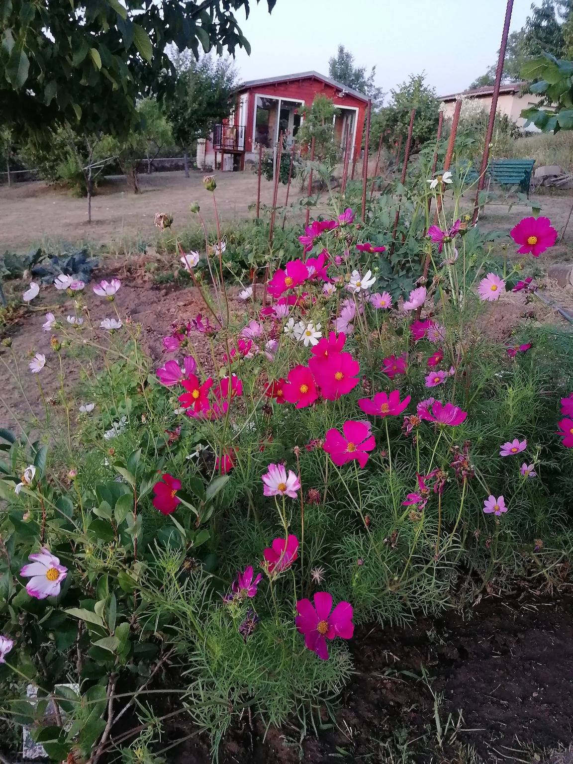 Chalet accueillant à Égliseneuve-des-Liards avec jardin in Égliseneuve-des-Liards, Parc Naturel Régional Livradois-Forez