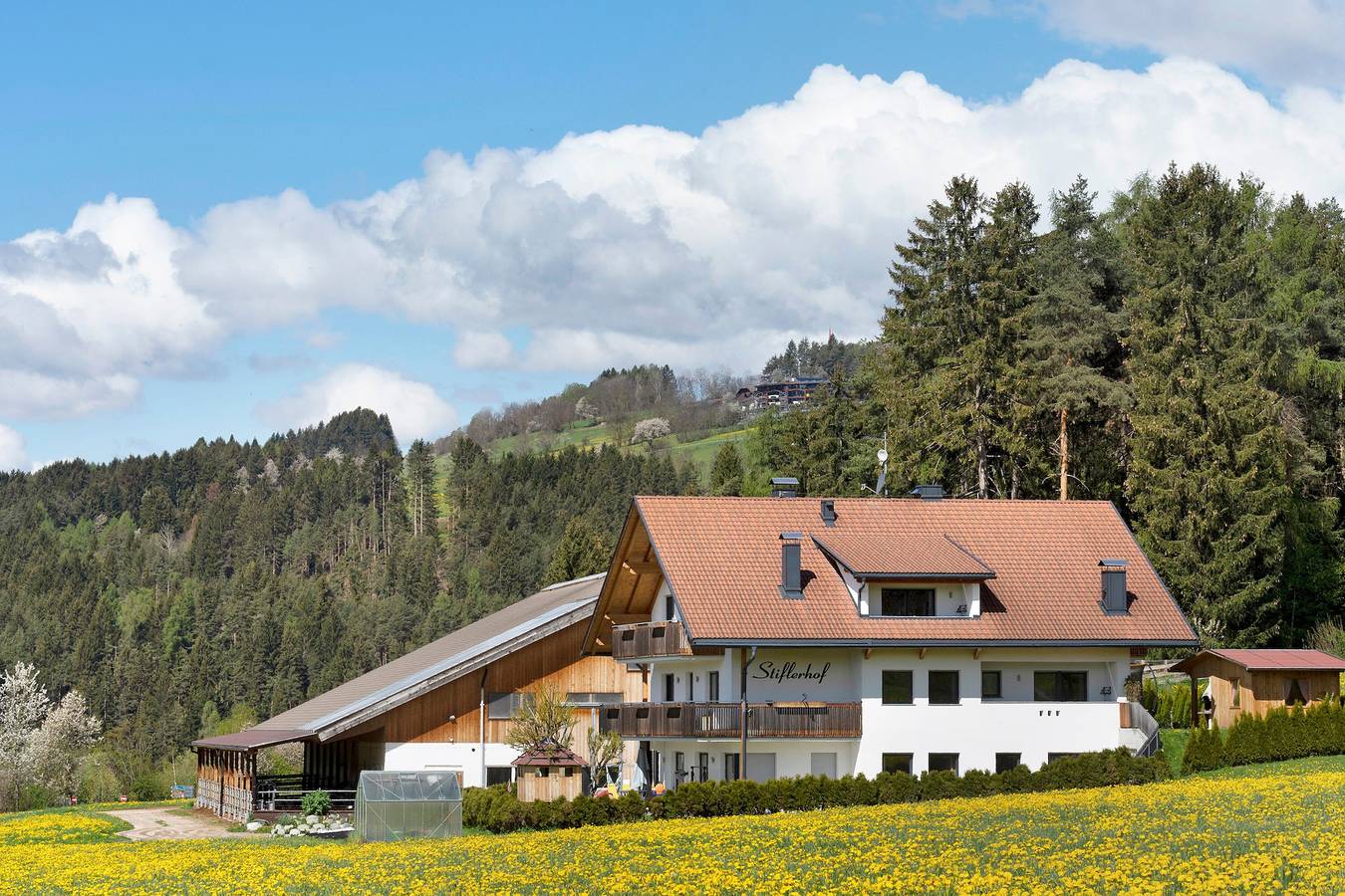 Ganze Wohnung, Ferienwohnung "Stiflerhof Apt Alpenrose" mit Bergblick, Gemeinschaftsgarten und Wlan in Issing, Pfalzen