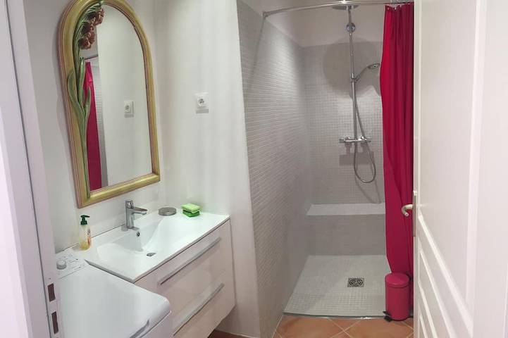 Gîte pour 4 personnes, avec terrasse et jardin à Santa-Maria-di-Lota - 3