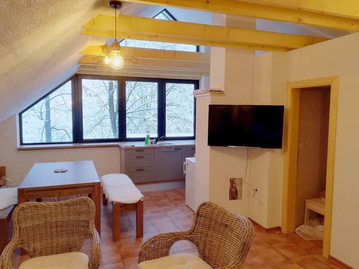 Double Room with Private Bathroom in Low Tatras
