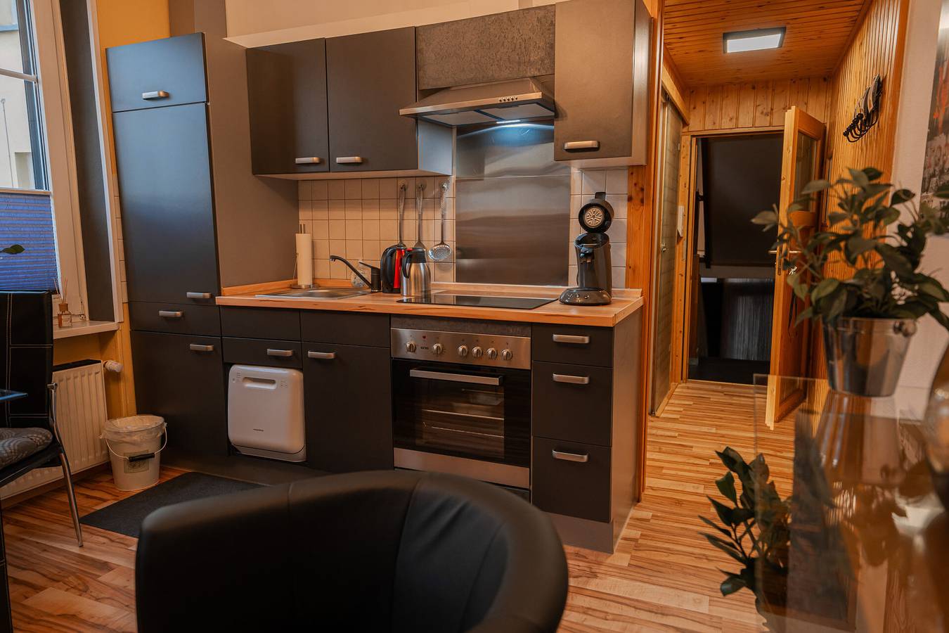 Geheel appartement, Vakantiewoning '2' met privétuin en wifi in Trier (Stad), Trier