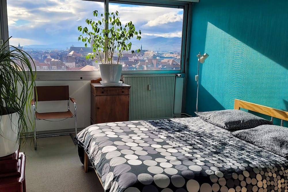 Appartement entier, Bel appartement:90m2, parfaitement situé et équipé, vue superbe, parking gratuit in Colmar, Région de Colmar