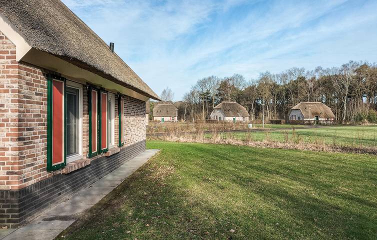 Ferienhaus für 8 Personen, mit Garten und Sauna sowie Terrasse und Whirlpool, mit Haustier in Overijssel - 2