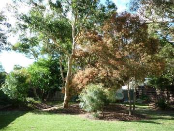 Holiday Home for 6 People in Callala Beach, Jervis Bay, Photo 2