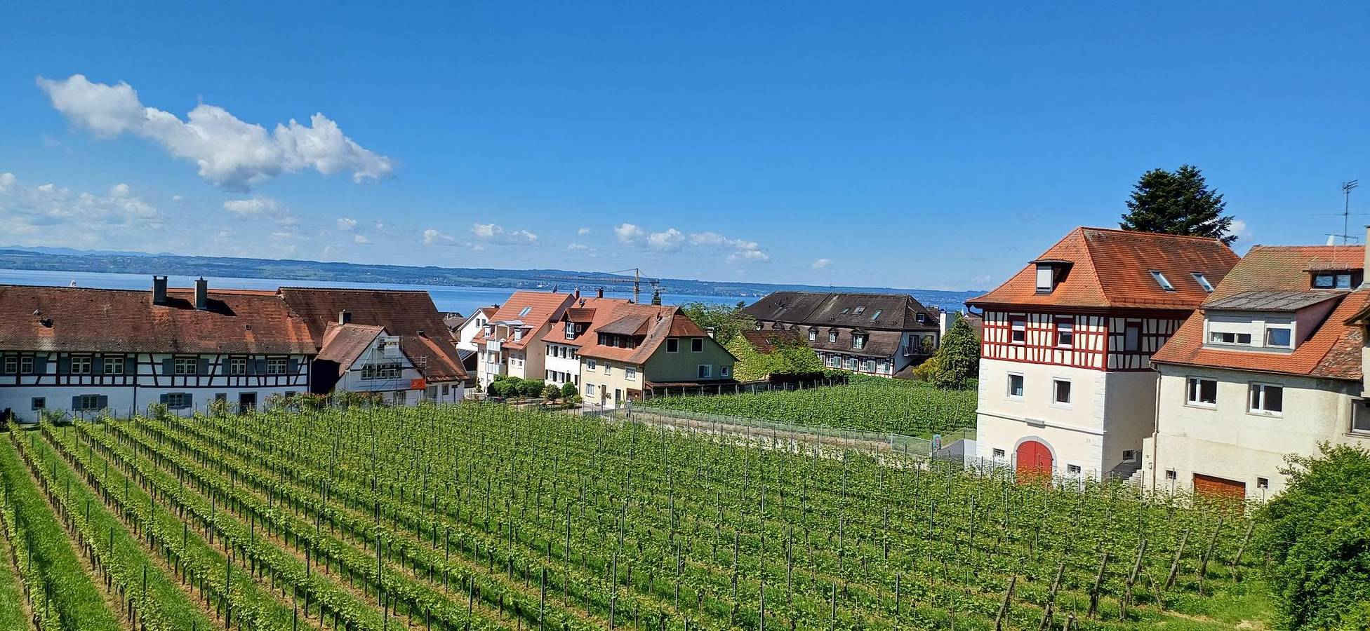 Gästehaus Ainser - Doppelzimmer Meersburg, foto 15
