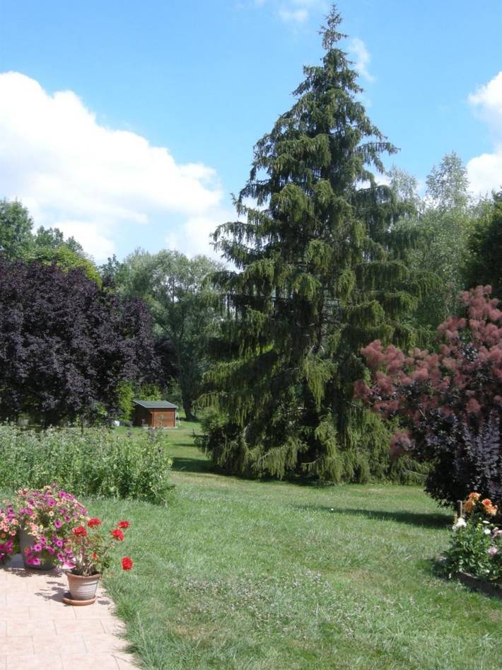 Chambre d’hôte pour 5 personnes, avec Terrasse ainsi que Jardin et Vue