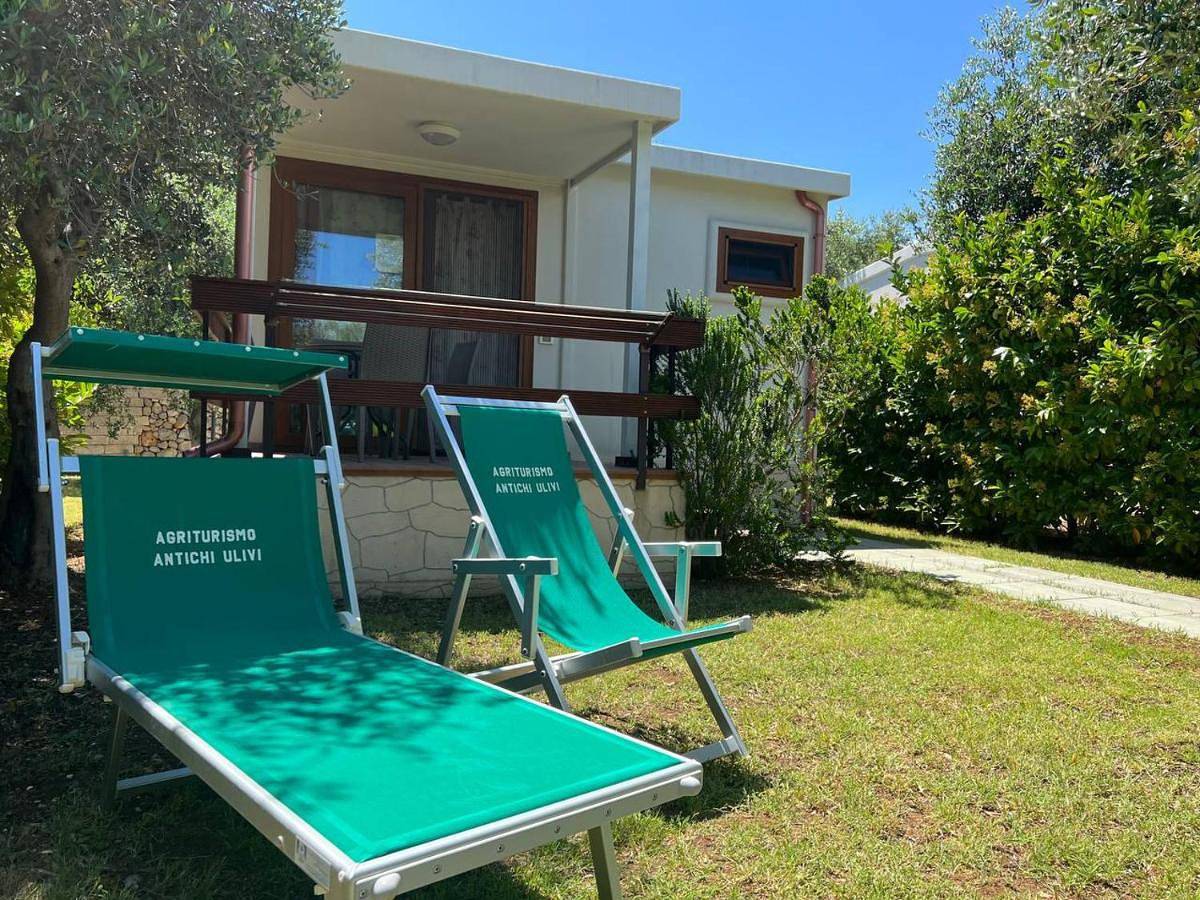 Appartamento intero, Agriturismo Antichi Ulivi in Mattinata, Gargano