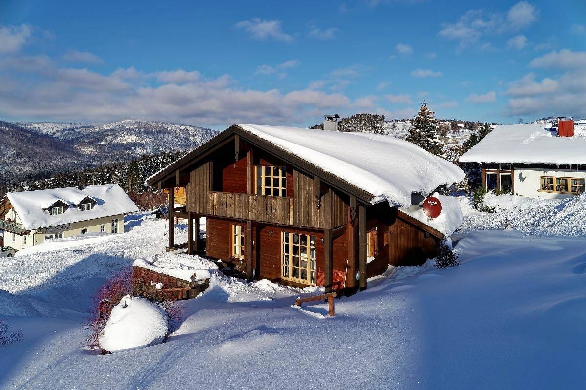 Ganze Wohnung, Ferienhaus Hirschkopf in Mauth, Šumava Mountains