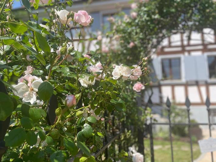 Appartement de vacances pour 2 personnes, avec Terrasse et Jardin