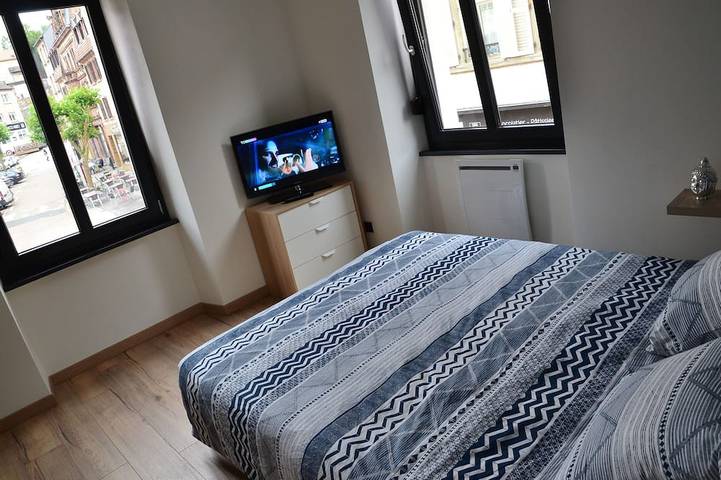 Entire apartment, The cyclade, luxury apartment in hyper center in Sarreguemines