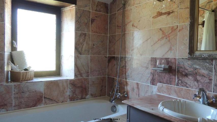 Gîte pour 6 personnes, avec piscine ainsi que vue et jardin, animaux acceptés à Faye-d'Anjou - 3