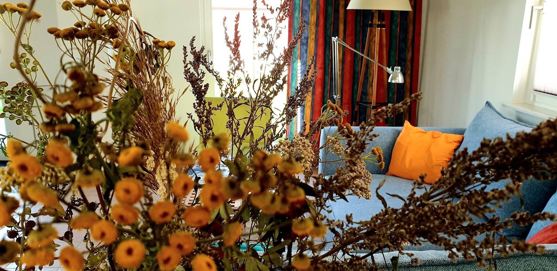 Reethaus "H.A.L.O" in Zierow, Nordwestmecklenburg (Wismar und Umgebung)