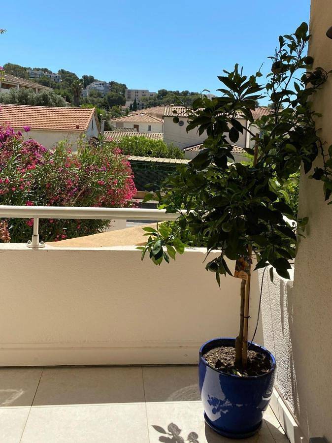 Gîte pour 6 personnes, avec terrasse dans Office De Tourisme De Saint Mandrier - 3