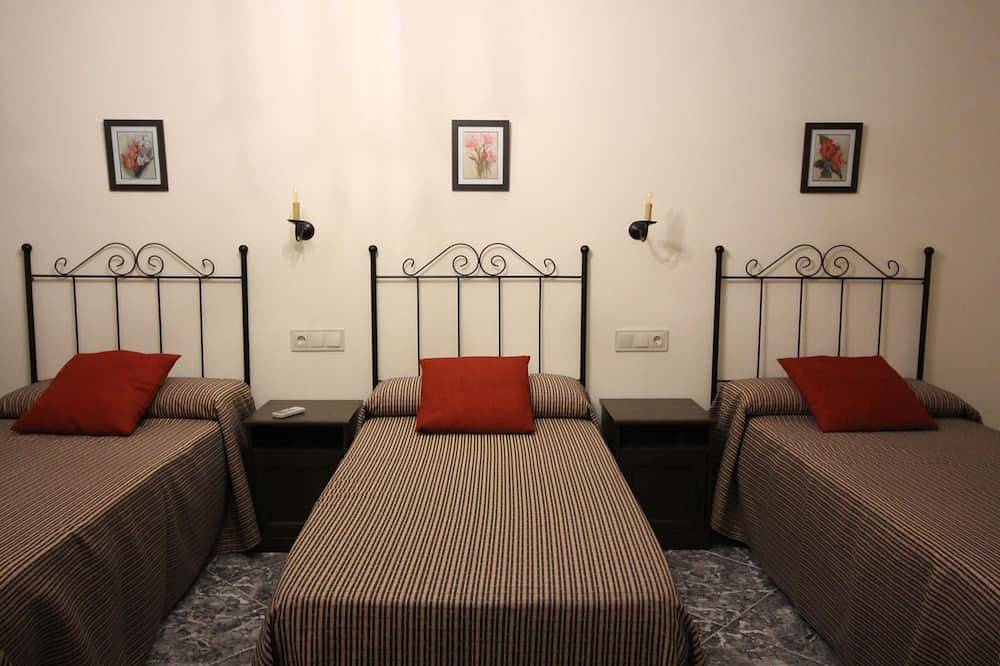 Full rental of 6 to 15 people. in Malagón, Ciudad Real Province