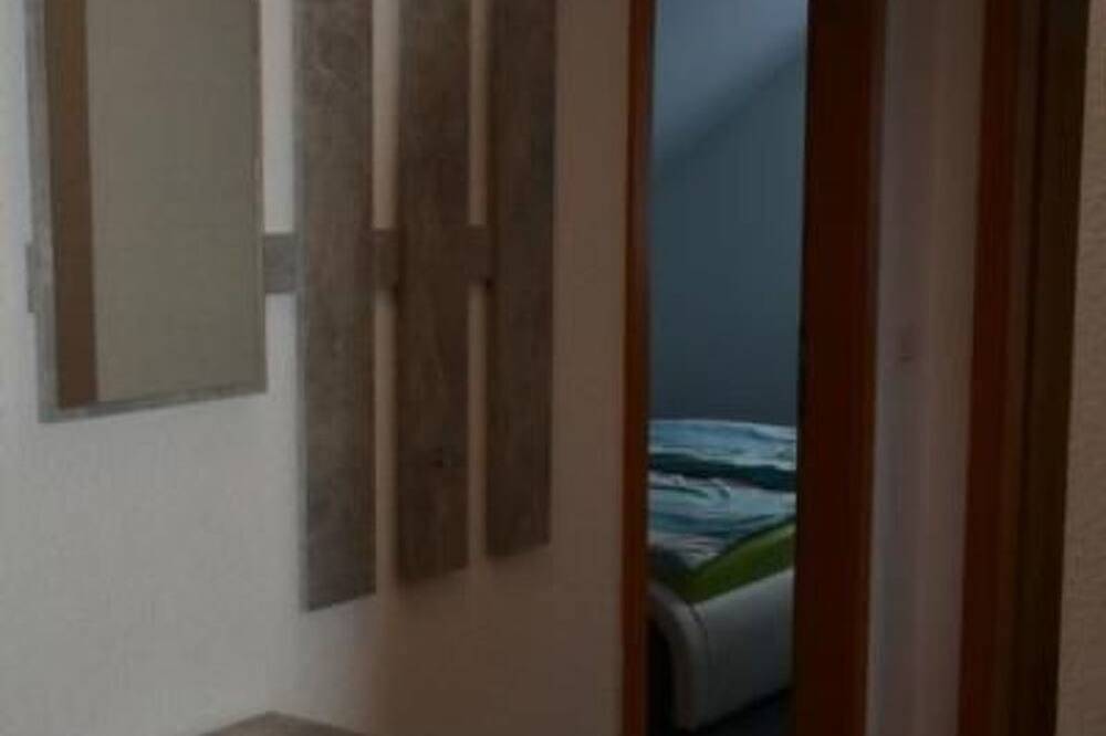 Ganze Wohnung, Kunstsammler in Freital, Osterzgebirge