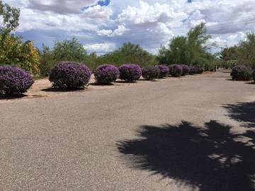 Glamping for 2 Guests in Apache Junction, Arizona, Picture 4