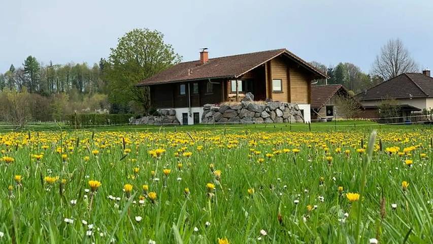 Ferienwohnung für 4 Personen, mit Sauna und Balkon sowie Garten in Walkenried - 3