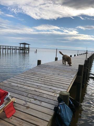 Vacation House for 6 Guests in Wild Duck Dunes, Port Trinitie, Picture 1