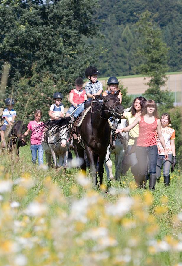 Reiterhof Mühlbauer - Hüttenappartement mit Holzofen und Veranda in Grattersdorf, Vorderer Bayerischer Wald