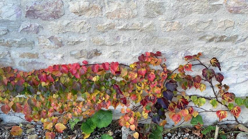 Location de vacances pour 2 personnes, avec terrasse et jardin ainsi que vue et piscine à Sennecey-le-Grand - 3