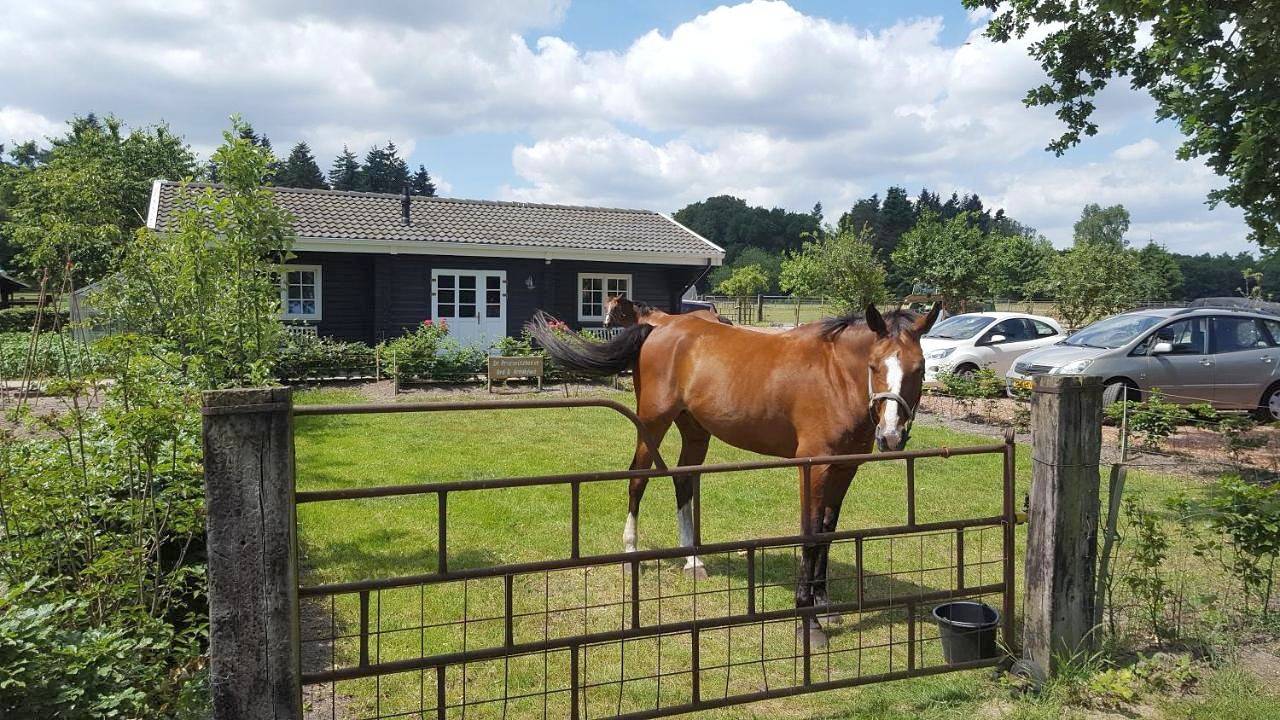 De Priesnitzhoeve in Veluwe